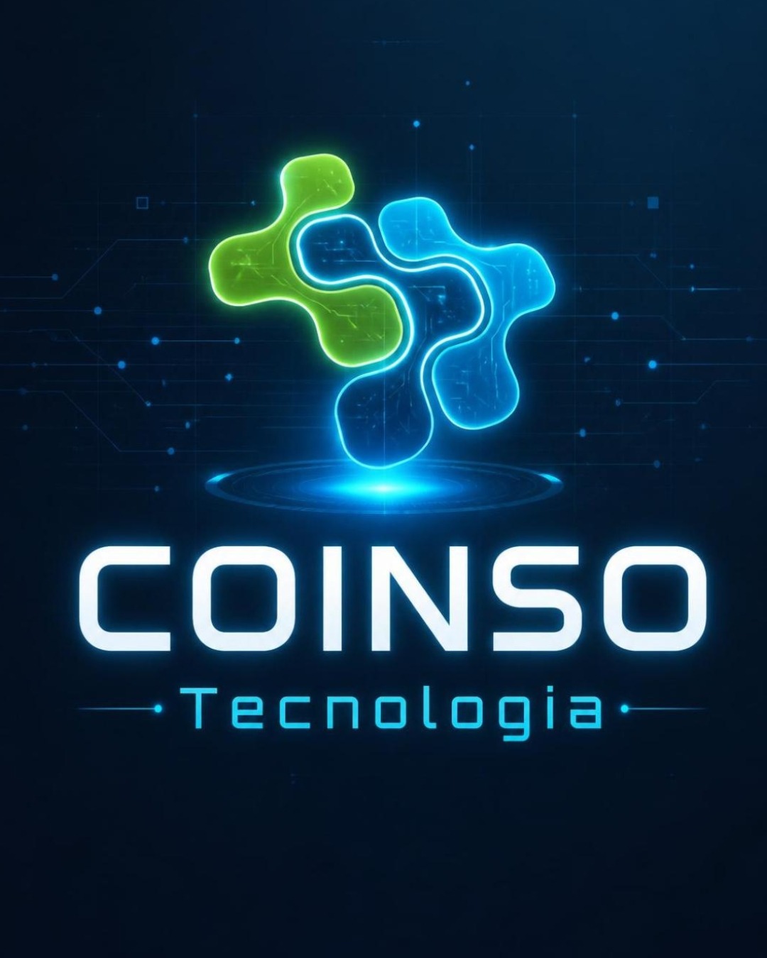 COINSO Consultoria